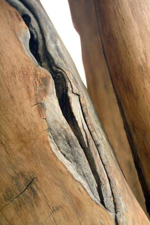 Detail 02