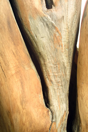 Detail12