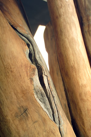 Detail13