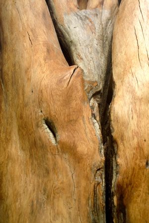 Detail 16