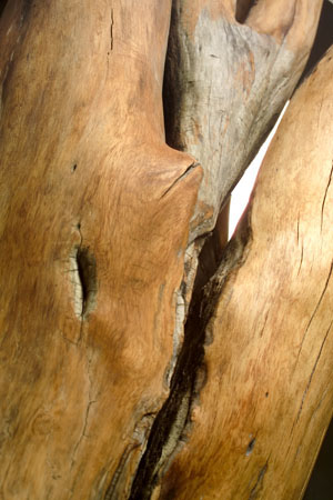 Detail17