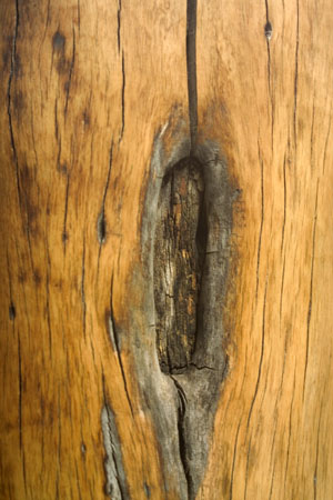 Detail19
